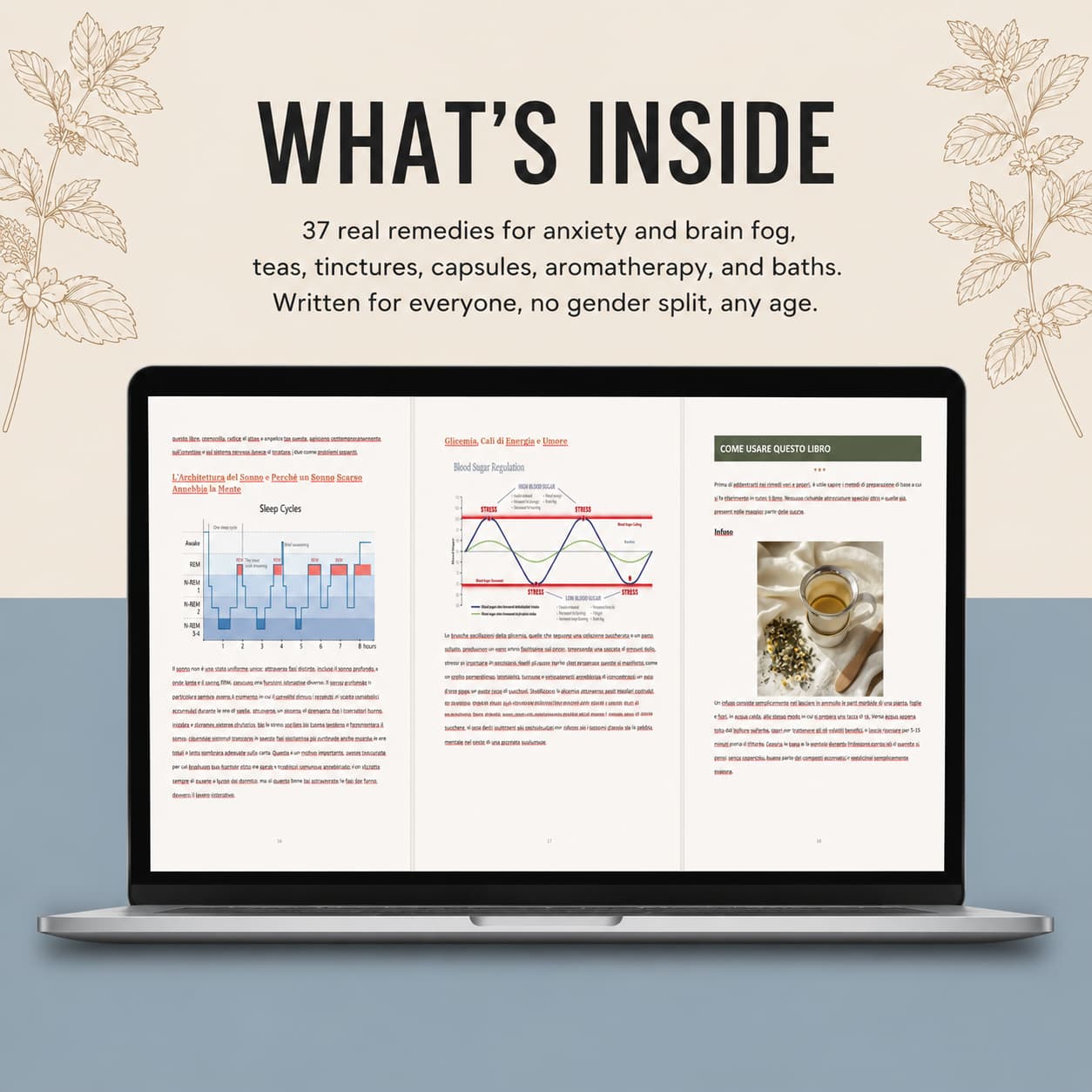 The Quiet Mind - A Physician’s Herbal Field Guide to Calming Anxiety, Clearing Brain Fog and Reclaiming a Steady, Clear Mind